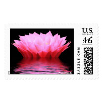 Pink Cactus Flower on Water Postage postage