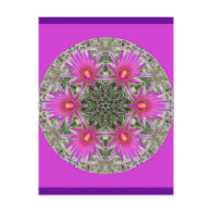Pink Cactus Flower Post Cards