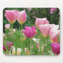 Pink Californian Poppies mousepads