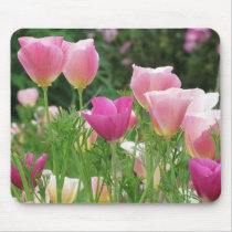 Pink Californian Poppies mousepads by Gala98 Pink Californian Poppies mousepads