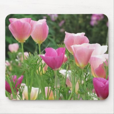 Pink Californian Poppies Mouse Mat by Gala98