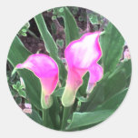 Pink Calla Lilies Round Stickers