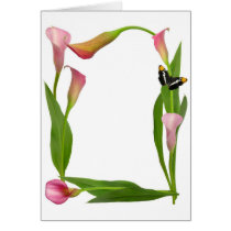 Pink Calla Lily Butterfly cards