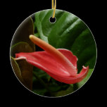 Pink Calla Lily Ornament