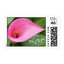 Pink Calla Lily postage by aslentz Pink Calla Lily postage