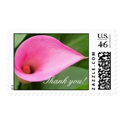 Pink calla lily - Thank you! Postage Stamps