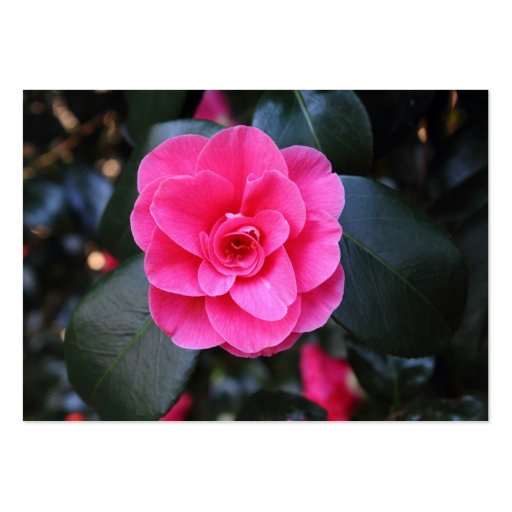 Pink Camellia Business Card