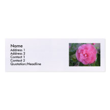 Pink Camellia Business Card or Calling Card