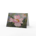 Pink Camellia card card