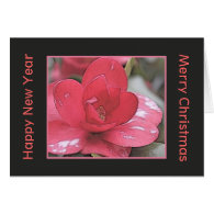 Pink Camellia flower Christmas and New Year Greeting Card