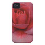 Pink Camellia iPhone Case casemate cases