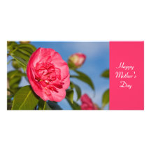 Pink Camellia Photo Greeting Card
