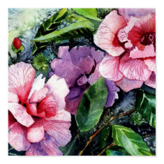 pink camellias print