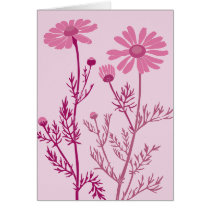pink camomile greeting card