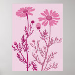 pink camomile posters