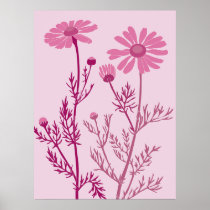 pink camomile posters