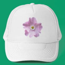 Pink Campion ~ hat hats