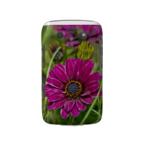 Pink Cape Daisy Flower Blackberry Bold Case casemate cases