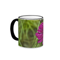 Pink Cape Daisy Flower coffee mug mugs