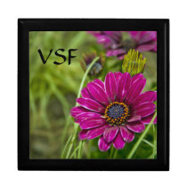 Pink Cape Daisy Flower Jewellery keepsake gift box gift boxes