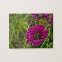 Pink Cape Daisy Flower Jigsaw Puzzle puzzles