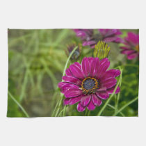 Pink Cape Daisy Flower kitchen Tea towel kitchen towels