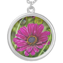 Pink Cape Daisy Flower Necklace necklaces