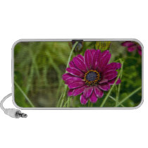Pink Cape Daisy Flower Portable Doodle Speaker speakers