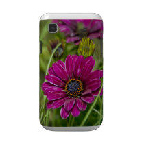 Pink Cape Daisy Flower Samsung Galaxy S case casemate cases