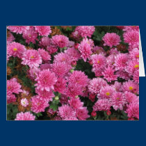 Pink cards by sumiko Pink cards