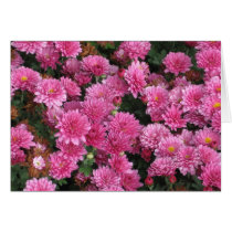 Pink cards