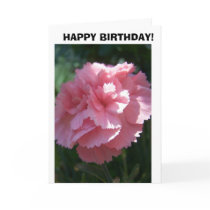 Pink Carnation, Happy Birthday cards by SusanParsons Pink Carnation, Happy Birthday cards