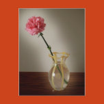 flower, floral, carnation, vase, garden