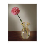 Pink Carnation in Glass Vase Post Cards