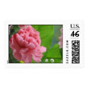Pink Carnation postage by Carol999 Pink Carnation postage