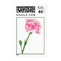 Pink Carnation Stamp stamps