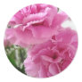 Pink Carnations 1