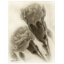 Pink Carnations 2 Antiqued