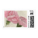 Pink Carnations 3 Color with Sepia postage