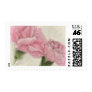 Pink Carnations 3 Color w...