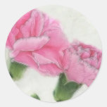 Pink Carnations 3 Sticker