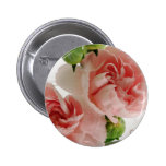 Pink Carnations Photograph