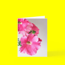 Pink Cascading Petunias Note Card cards