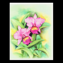 Pink Catleya Orchid Flower Art - Multi postcards