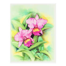 Pink Catleya Orchid Flower Art - Multi Postcard