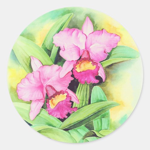 Pink Catleya Orchid Flower Art - Multi Stickers