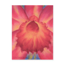 Pink Catleya Orchids Art - Multi postcards