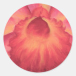 Pink Catleya Orchids Art - Multi Round Stickers