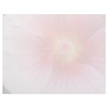 Pink Center swirl flowers Letterhead Template