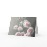Pink Centered Carnations 1 - Ethereal Radiance Pink Centered Carnations 1 - Ethereal Radiance